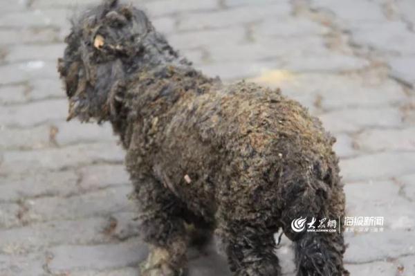 突發(fā)！青島一居民樓發(fā)生爆燃！已造1人死亡，7人受傷！3公里外有震感…